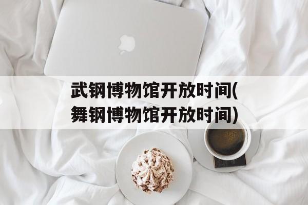 武钢博物馆开放时间(舞钢博物馆开放时间)-第1张图片-