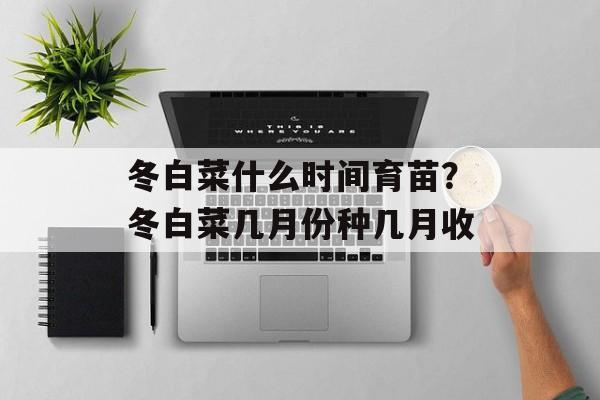 冬白菜什么时间育苗？冬白菜几月份种几月收-第1张图片-