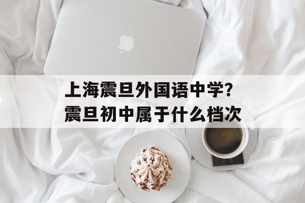 上海震旦外国语中学？震旦初中属于什么档次-第1张图片-