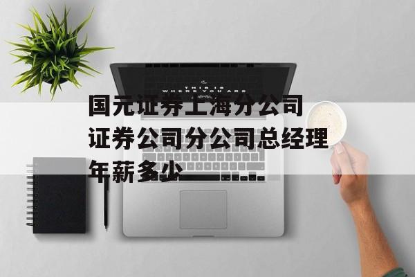 国元证券上海分公司 证券公司分公司总经理年薪多少-第1张图片-