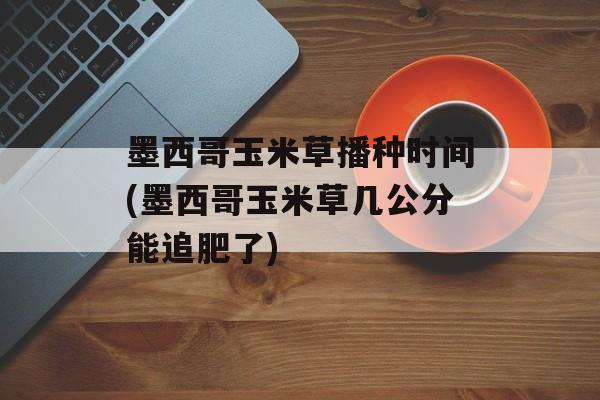 墨西哥玉米草播种时间(墨西哥玉米草几公分能追肥了)-第1张图片-