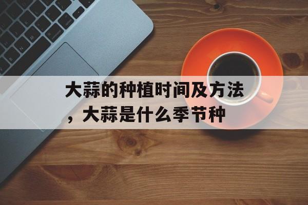 大蒜的种植时间及方法，大蒜是什么季节种-第1张图片-