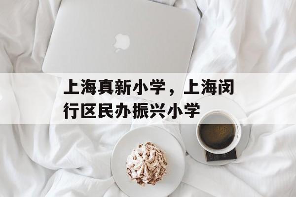 上海真新小学，上海闵行区民办振兴小学-第1张图片-