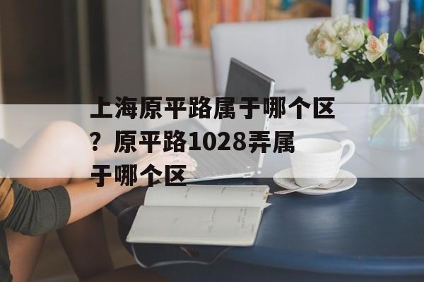 上海原平路属于哪个区？原平路1028弄属于哪个区-第1张图片-