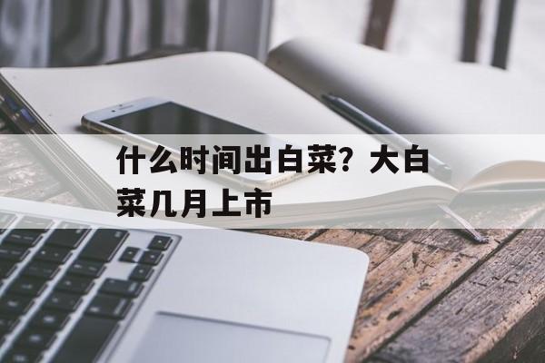 什么时间出白菜？大白菜几月上市-第1张图片-