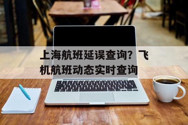 上海航班延误查询？飞机航班动态实时查询-第1张图片-