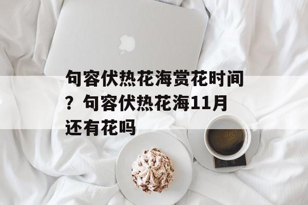 句容伏热花海赏花时间？句容伏热花海11月还有花吗-第1张图片-