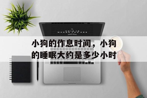 小狗的作息时间，小狗的睡眠大约是多少小时-第1张图片-