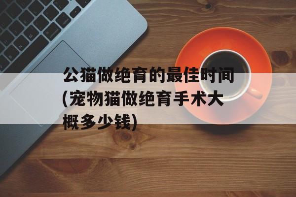 公猫做绝育的最佳时间(宠物猫做绝育手术大概多少钱)-第1张图片-