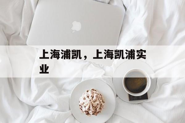 上海浦凯，上海凯浦实业-第1张图片-
