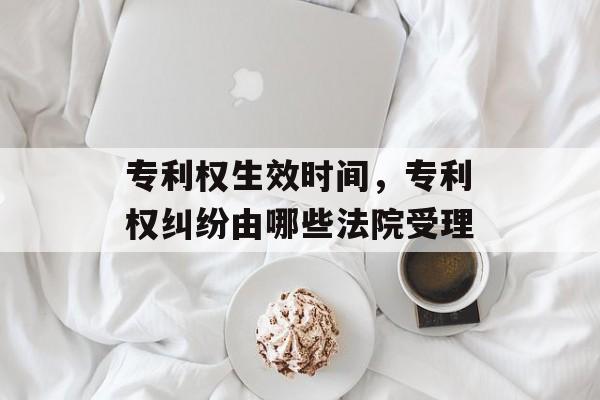 专利权生效时间，专利权纠纷由哪些法院受理-第1张图片-