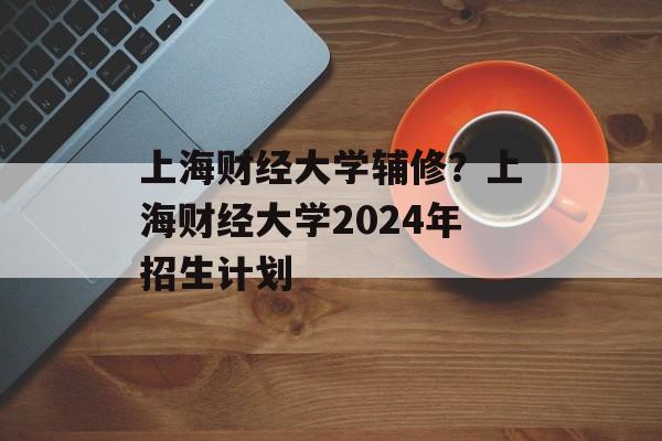 上海财经大学辅修？上海财经大学2024年招生计划-第1张图片-