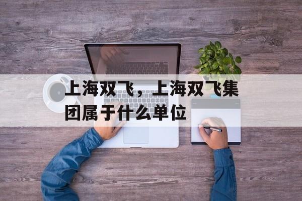 上海双飞，上海双飞集团属于什么单位-第1张图片-