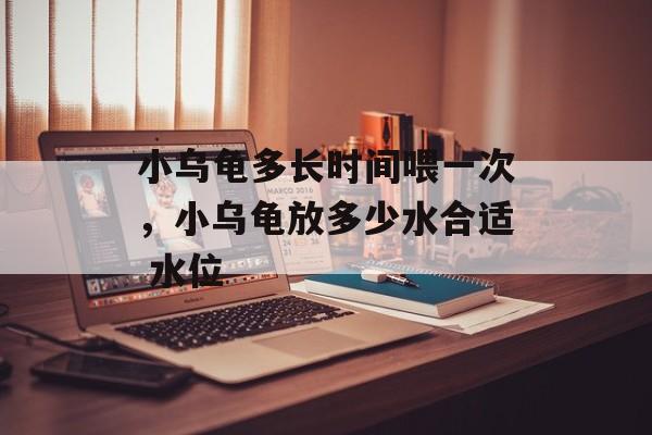 小乌龟多长时间喂一次，小乌龟放多少水合适 水位-第1张图片-