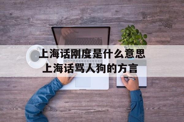 上海话刚度是什么意思 上海话骂人狗的方言-第1张图片-