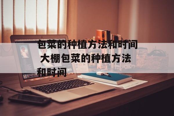 包菜的种植方法和时间 大棚包菜的种植方法和时间-第1张图片-