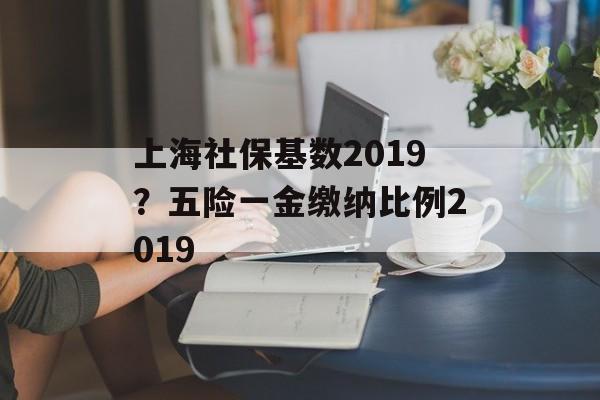 上海社保基数2019？五险一金缴纳比例2019-第1张图片-