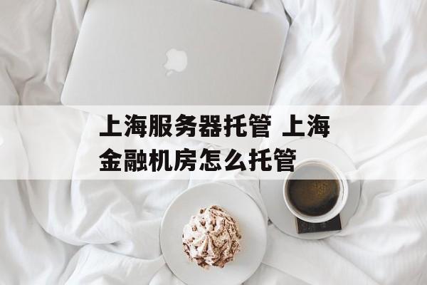 上海服务器托管 上海金融机房怎么托管-第1张图片-