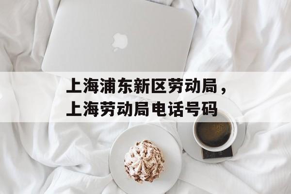 上海浦东新区劳动局，上海劳动局电话号码-第1张图片-