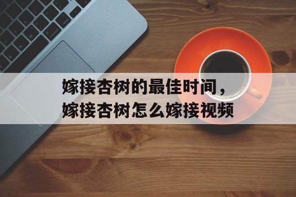 嫁接杏树的最佳时间，嫁接杏树怎么嫁接视频-第1张图片-
