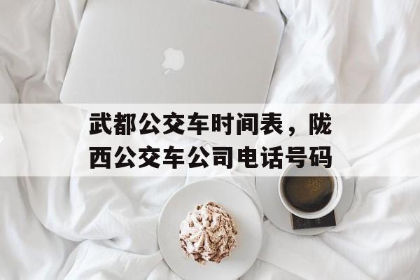 武都公交车时间表，陇西公交车公司电话号码-第1张图片-