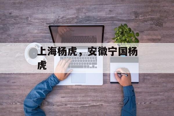 上海杨虎，安徽宁国杨虎-第1张图片-