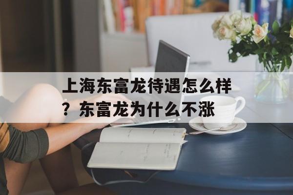 上海东富龙待遇怎么样？东富龙为什么不涨-第1张图片-