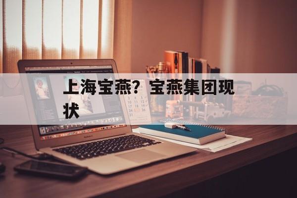 上海宝燕？宝燕集团现状-第1张图片-