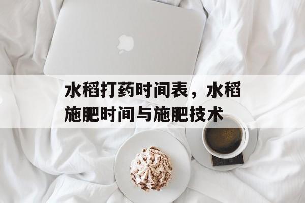 水稻打药时间表，水稻施肥时间与施肥技术-第1张图片-