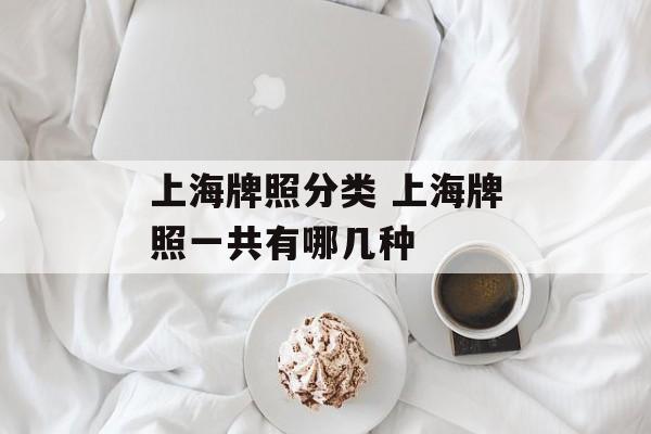 上海牌照分类 上海牌照一共有哪几种-第1张图片-