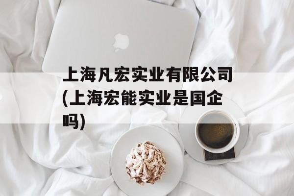 上海凡宏实业有限公司(上海宏能实业是国企吗)-第1张图片-