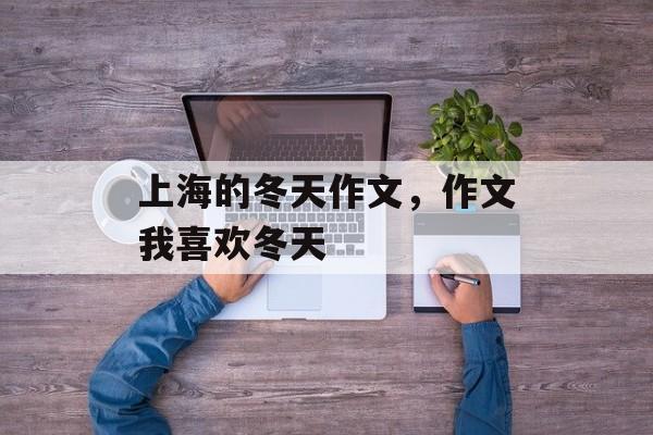 上海的冬天作文，作文我喜欢冬天-第1张图片-