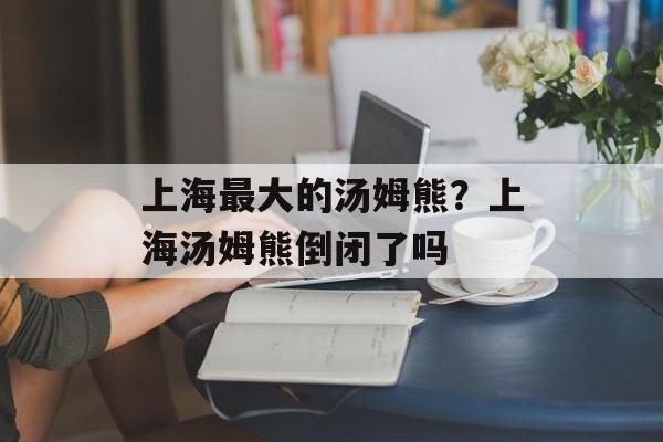 上海最大的汤姆熊？上海汤姆熊倒闭了吗-第1张图片-