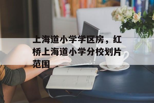 上海道小学学区房，红桥上海道小学分校划片范围-第1张图片-