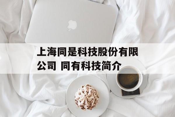 上海同是科技股份有限公司 同有科技简介-第1张图片-