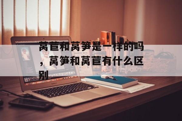 莴苣和莴笋是一样的吗，莴笋和莴苣有什么区别-第1张图片-