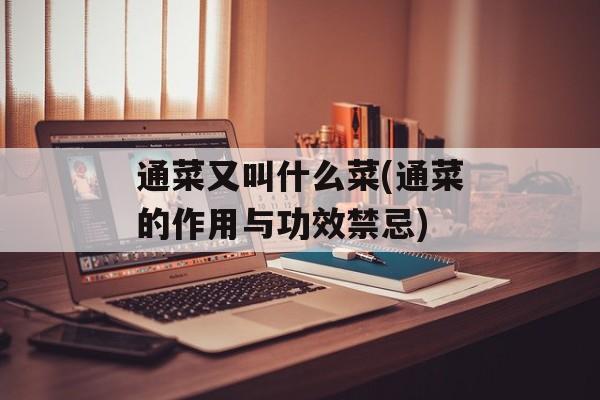 通菜又叫什么菜(通菜的作用与功效禁忌)-第1张图片-