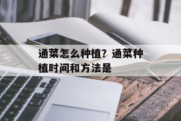 通菜怎么种植？通菜种植时间和方法是-第1张图片-