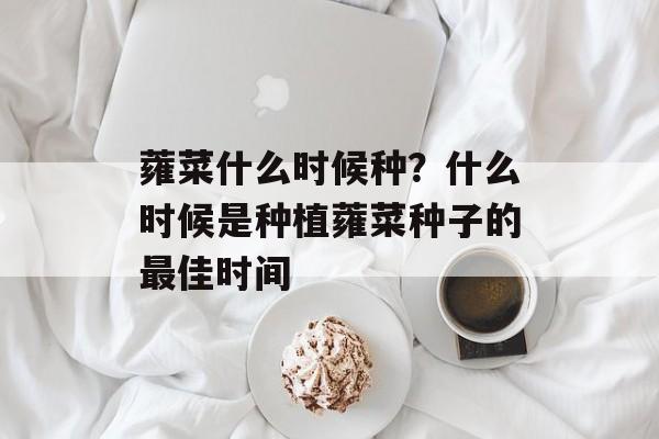 蕹菜什么时候种？什么时候是种植蕹菜种子的最佳时间-第1张图片-