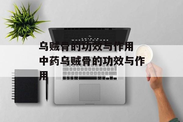 乌贼骨的功效与作用 中药乌贼骨的功效与作用-第1张图片-