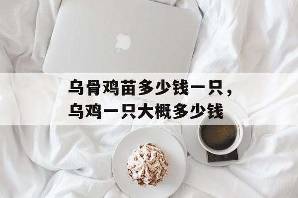 乌骨鸡苗多少钱一只，乌鸡一只大概多少钱-第1张图片-