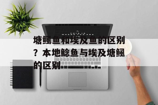 塘鲺鱼和埃及鱼的区别？本地鲶鱼与埃及塘鲺的区别-第1张图片-