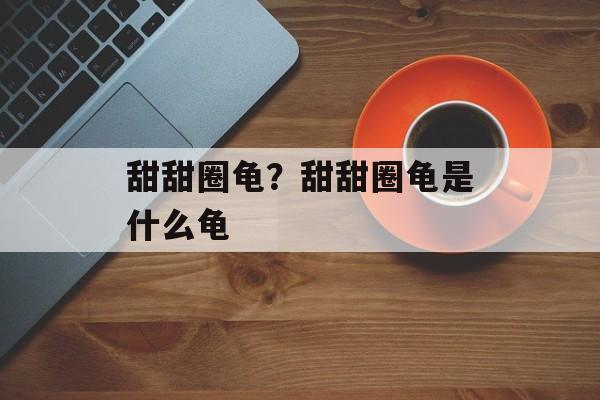 甜甜圈龟？甜甜圈龟是什么龟-第1张图片-