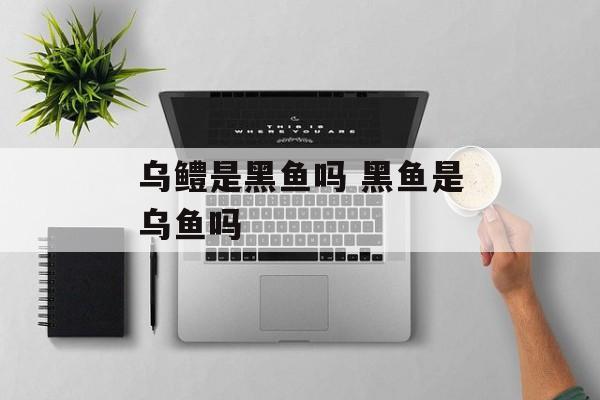 乌鳢是黑鱼吗 黑鱼是乌鱼吗-第1张图片-