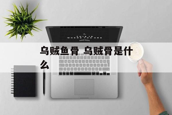 乌贼鱼骨 乌贼骨是什么-第1张图片-