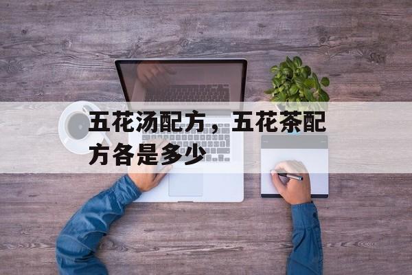 五花汤配方，五花茶配方各是多少-第1张图片-