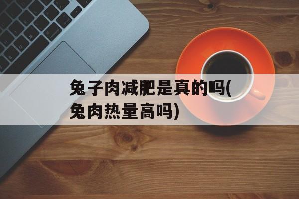 兔子肉减肥是真的吗(兔肉热量高吗)-第1张图片-