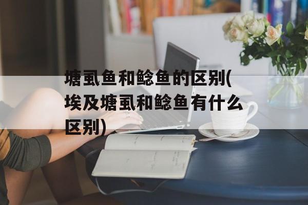 塘虱鱼和鲶鱼的区别(埃及塘虱和鲶鱼有什么区别)-第1张图片-