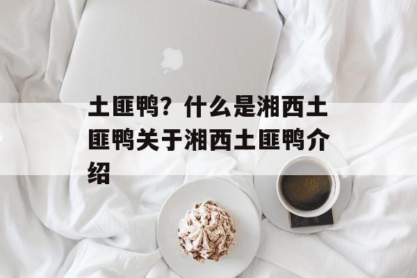 土匪鸭？什么是湘西土匪鸭关于湘西土匪鸭介绍-第1张图片-