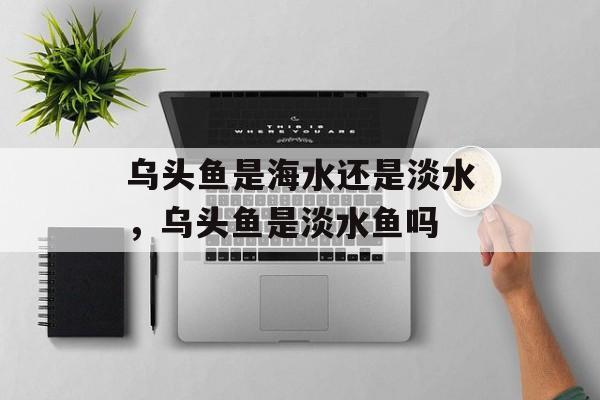 乌头鱼是海水还是淡水，乌头鱼是淡水鱼吗-第1张图片-